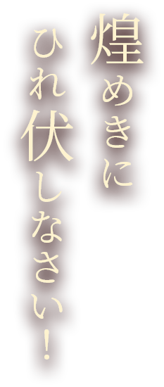 煌めきにひれ伏しなさい！